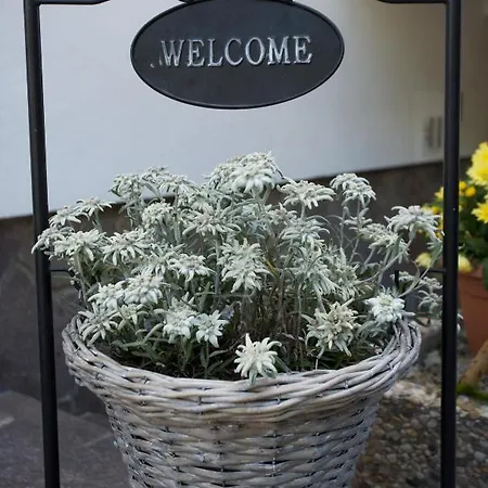 Hotel Garni Fiegl 3*